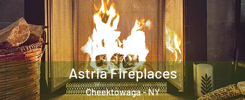  Astria Fireplaces Cheektowaga - NY