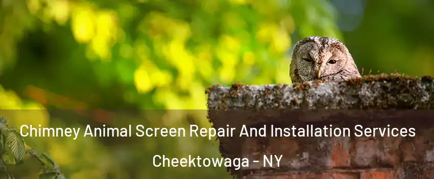  Chimney Animal Screen Repair And Installation Services Cheektowaga - NY