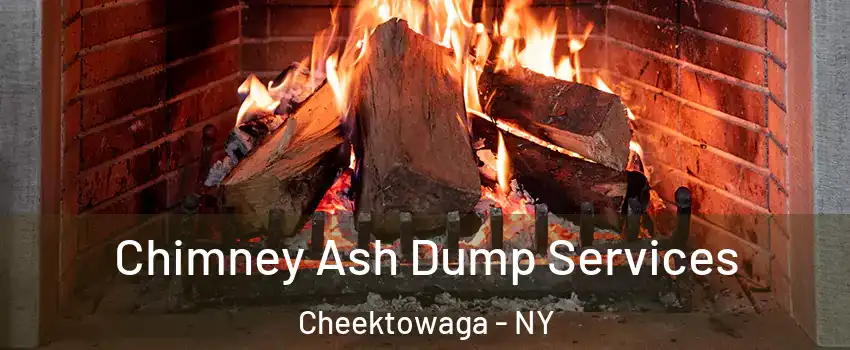  Chimney Ash Dump Services Cheektowaga - NY