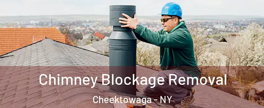  Chimney Blockage Removal Cheektowaga - NY
