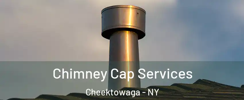  Chimney Cap Services Cheektowaga - NY