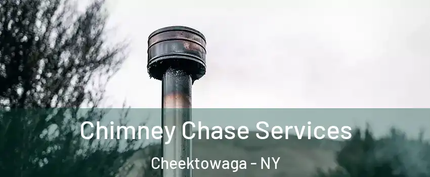  Chimney Chase Services Cheektowaga - NY