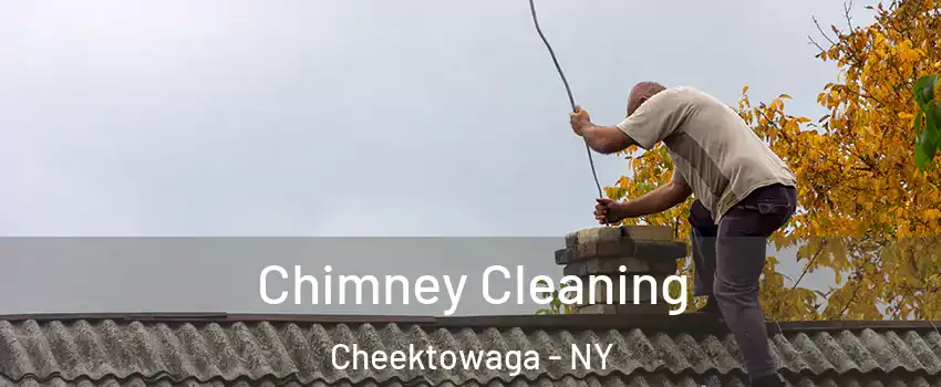  Chimney Cleaning Cheektowaga - NY