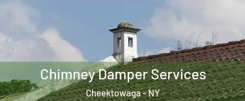  Chimney Damper Services Cheektowaga - NY