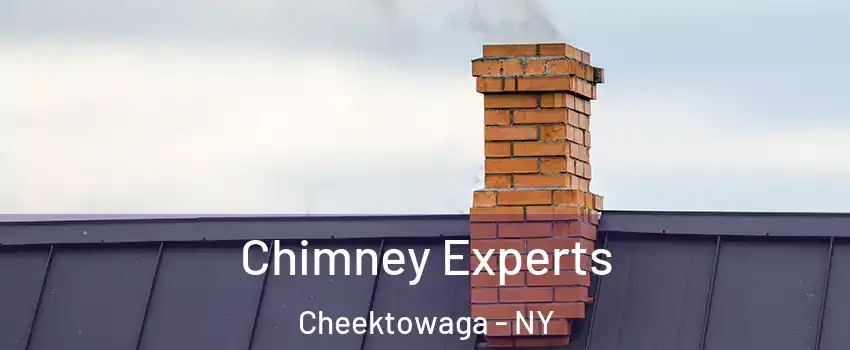 Chimney Experts Cheektowaga - NY