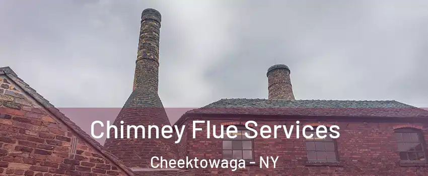  Chimney Flue Services Cheektowaga - NY