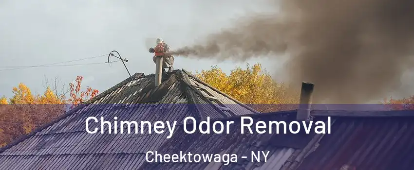  Chimney Odor Removal Cheektowaga - NY