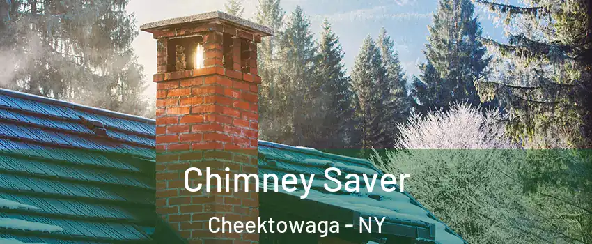  Chimney Saver Cheektowaga - NY