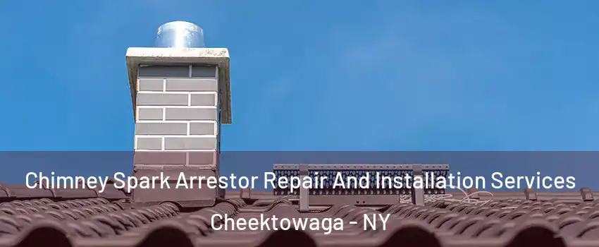  Chimney Spark Arrestor Repair And Installation Services Cheektowaga - NY