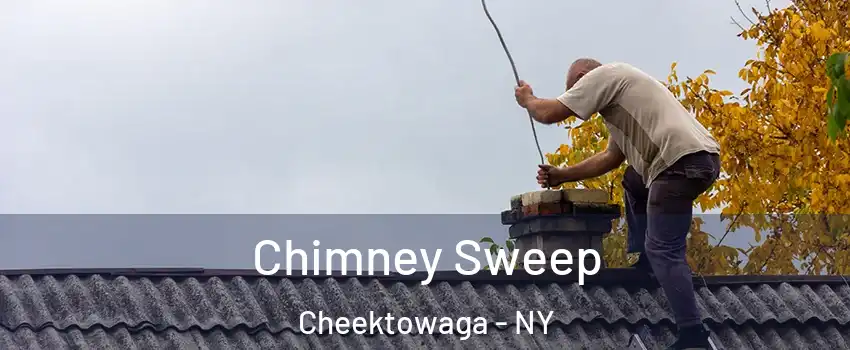  Chimney Sweep Cheektowaga - NY