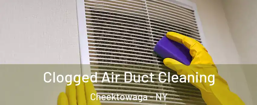  Clogged Air Duct Cleaning Cheektowaga - NY