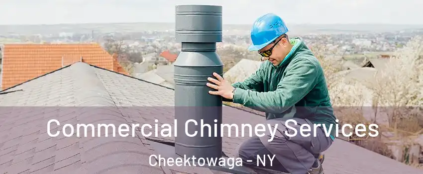  Commercial Chimney Services Cheektowaga - NY