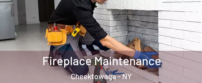  Fireplace Maintenance Cheektowaga - NY