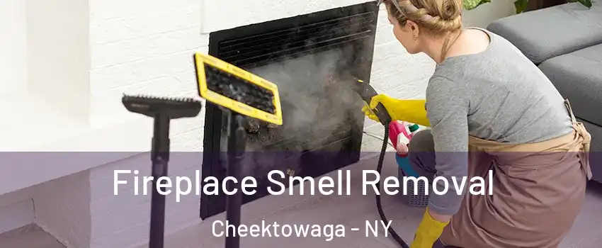  Fireplace Smell Removal Cheektowaga - NY