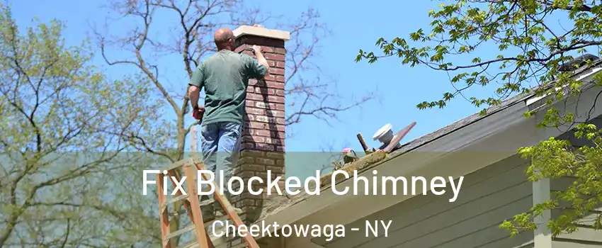  Fix Blocked Chimney Cheektowaga - NY