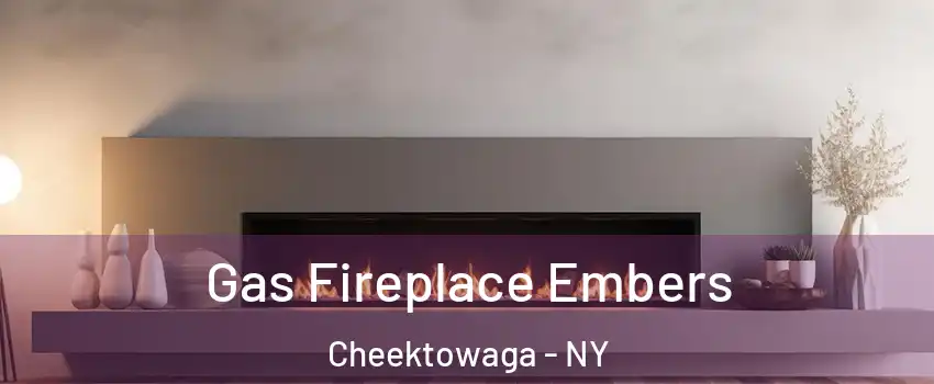  Gas Fireplace Embers Cheektowaga - NY