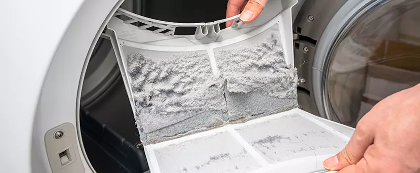 Best Dryer Lint Removal Company in Cheektowaga, New York