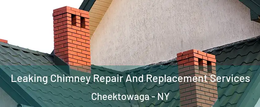  Leaking Chimney Repair And Replacement Services Cheektowaga - NY