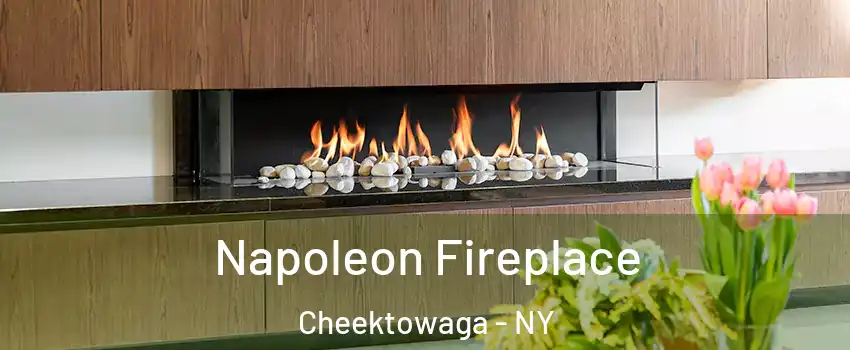  Napoleon Fireplace Cheektowaga - NY