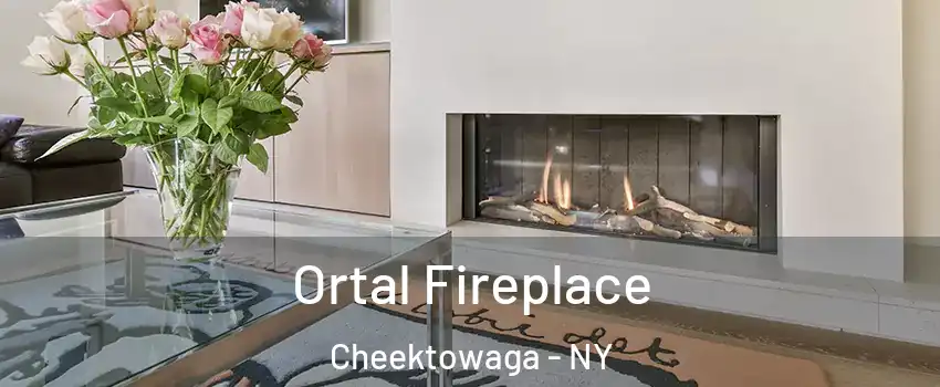 Ortal Fireplace Cheektowaga - NY