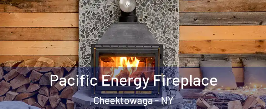  Pacific Energy Fireplace Cheektowaga - NY